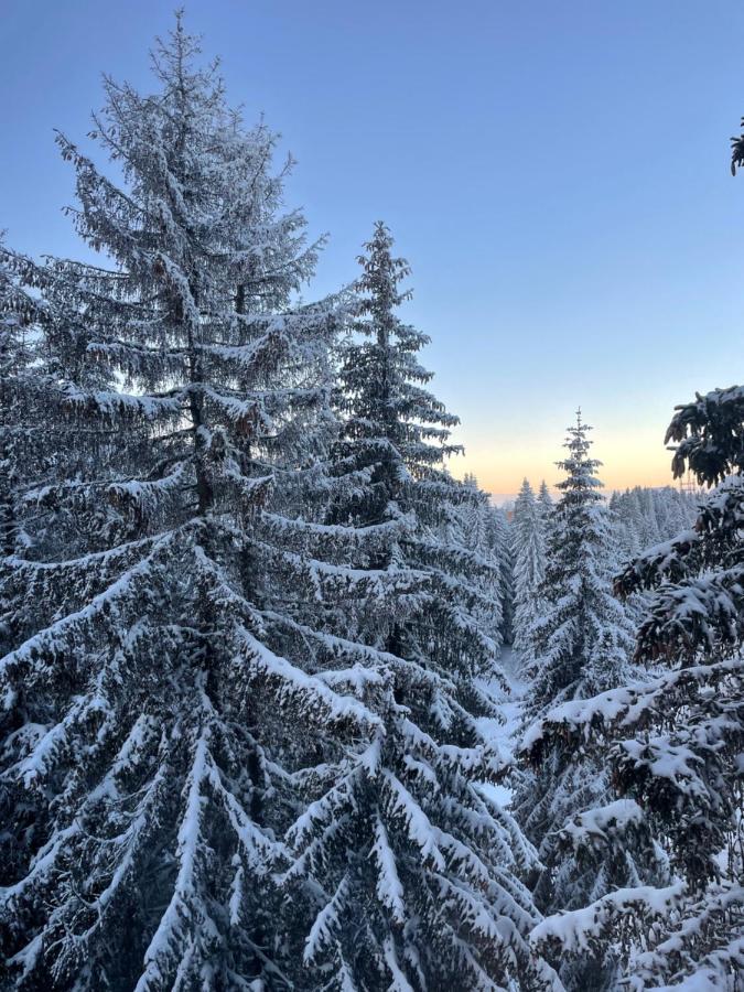Woodside Apartment 431, Kopaonik - One Separate Bedroom 35M2- Free Parking & Spa 외부 사진