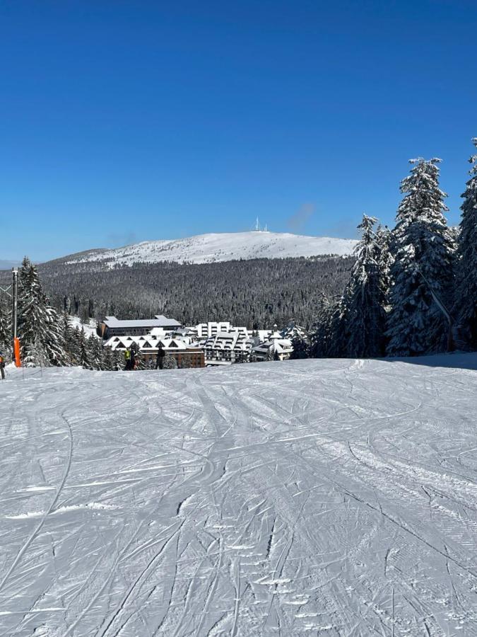 Woodside Apartment 431, Kopaonik - One Separate Bedroom 35M2- Free Parking & Spa 외부 사진